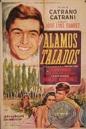 Álamos talados Álamos talados