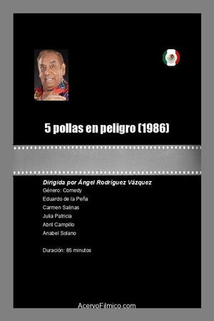 5 pollas en peligro 5 pollas en peligro