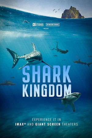 Shark Kingdom Shark Kingdom