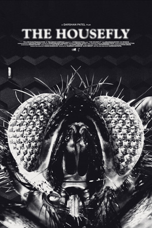 The Housefly The Housefly