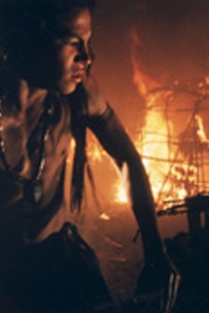 The Witness The Witness