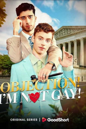 Objection! I'm Not Gay! Objection! I'm Not Gay!