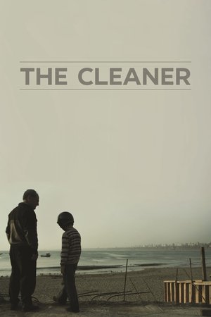 The Cleaner The Cleaner