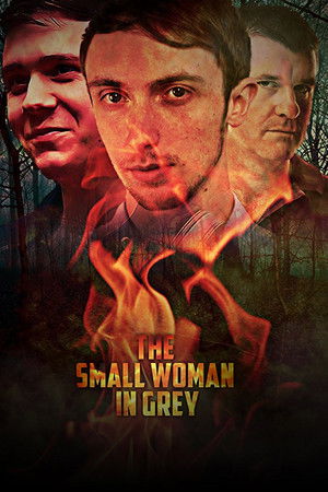 The Small Woman in Grey The Small Woman in Grey