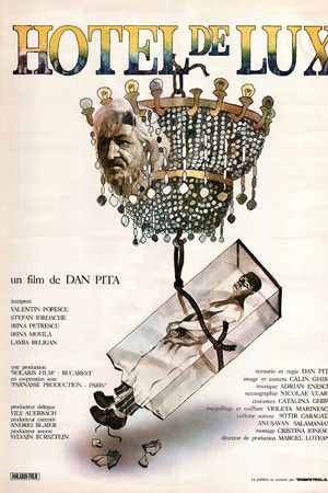 Luxury Hotel Luxury Hotel