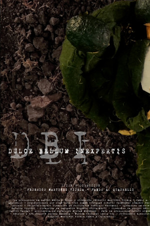 Dulce Bellum Inexpertis