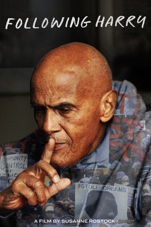 Following Harry Following Harry