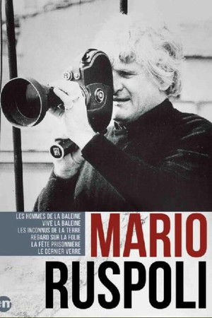 A Look at Madness A Look at Madness