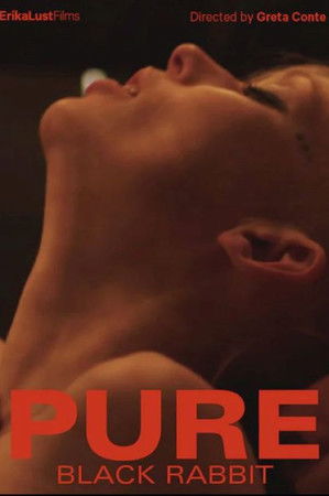 Pure - Black Rabbit Pure - Black Rabbit