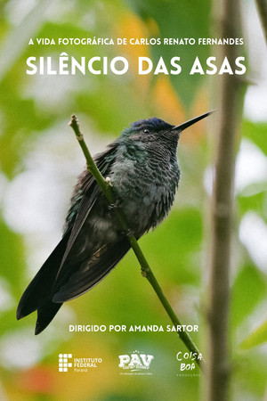 Silêncio das Asas