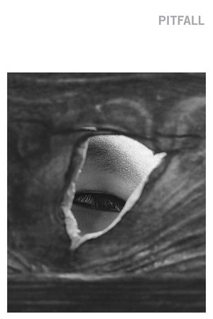 Pitfall Pitfall