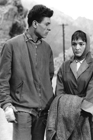 Twosome Beneath the Skies Twosome Beneath the Skies