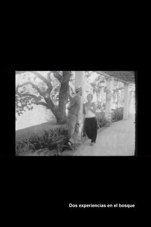Dos experiencias en el bosque Dos experiencias en el bosque