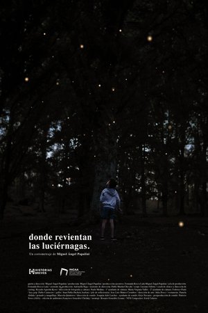 Where the fireflies burst Where the fireflies burst