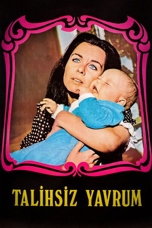 Talihsiz Yavrum Talihsiz Yavrum