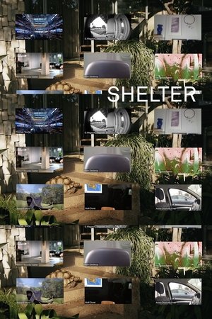 Shelter Shelter