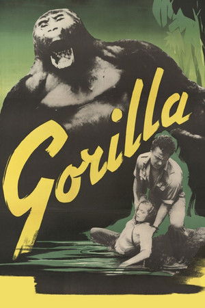 Gorilla Gorilla