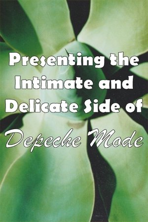 Depeche Mode: 1999–2002 “Presenting the Intimate and Delicate side of Depeche Mode” Depeche Mode: 1999–2002 “Presenting the Intimate and Delicate side of Depeche Mode”