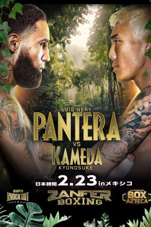 Luis Nery vs. Kyonosuke Kameda