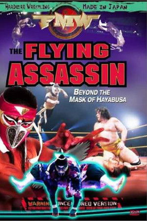 FMW Hayabusa- Flying Assassin