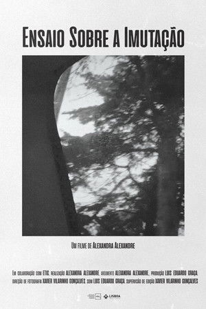 Ensaio sobre a Imutação