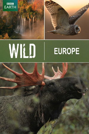 Wild Europe Wild Europe