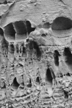 Ghost Strata Ghost Strata