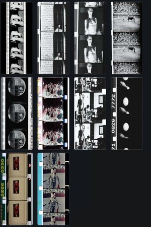 Home Movies Home Movies