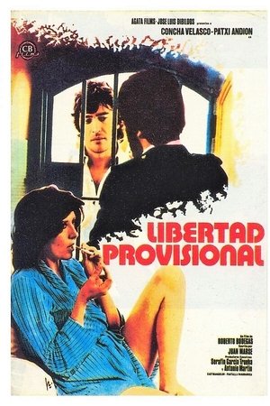 Libertad provisional Libertad provisional