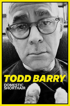 Todd Barry: Domestic Shorthair Todd Barry: Domestic Shorthair