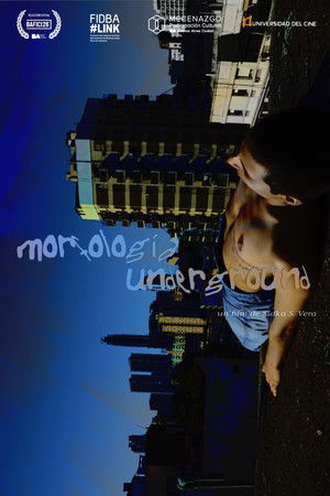 Underground Morphology Underground Morphology