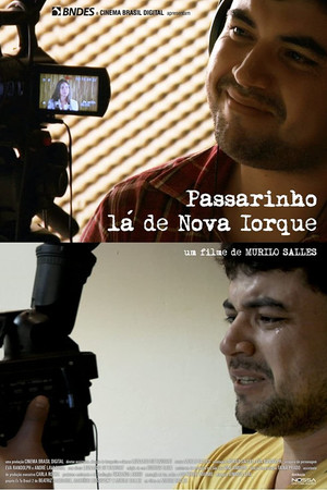 Passarinho Lá de Nova Iorque