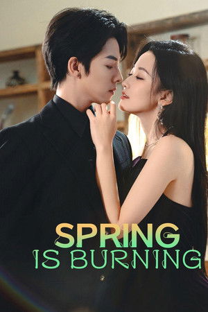 Love in the Spring Night