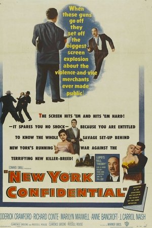 New York Confidential