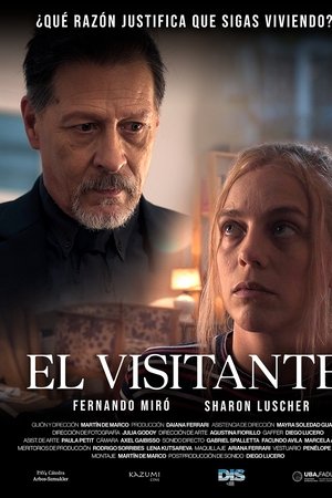 The visitor The visitor