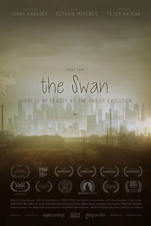 The Swan The Swan
