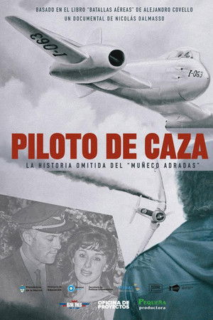 Piloto De Caza