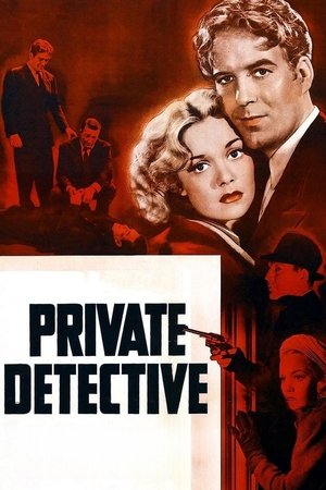 Private Detective Private Detective