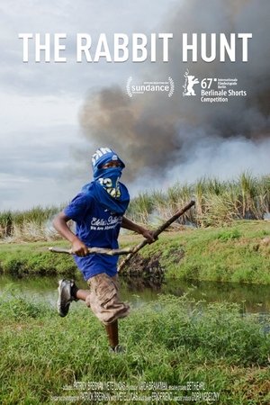 The Rabbit Hunt The Rabbit Hunt