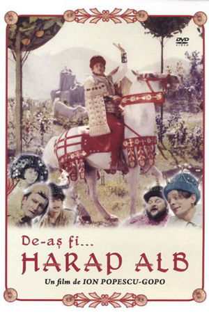 The White Moor The White Moor