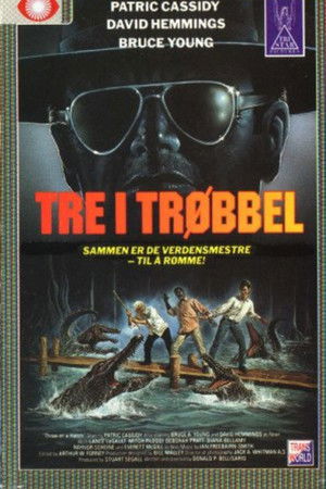 3 On a Match 3 On a Match