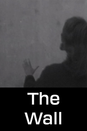 The Wall The Wall