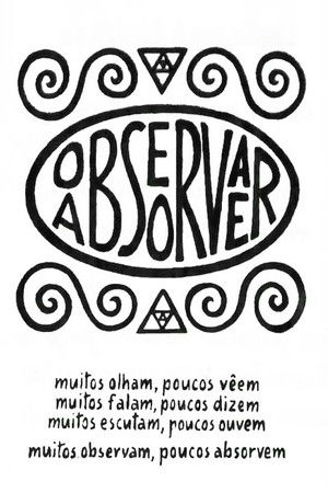 Observar e Absorver Observar e Absorver