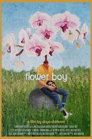 Flower Boy Flower Boy