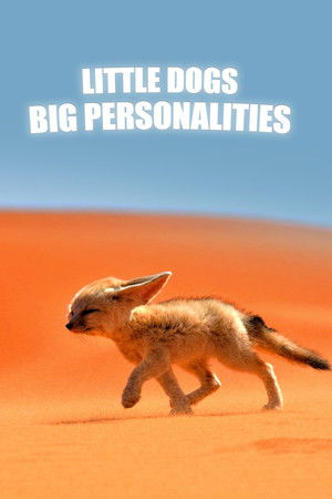 Little Dogs, Big Personalities Little Dogs, Big Personalities