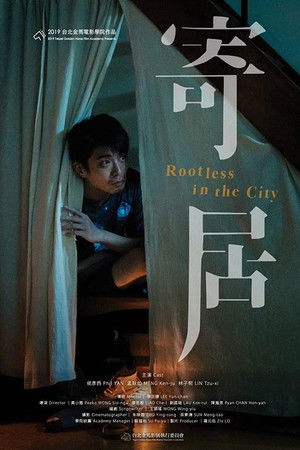 Rootless in the City