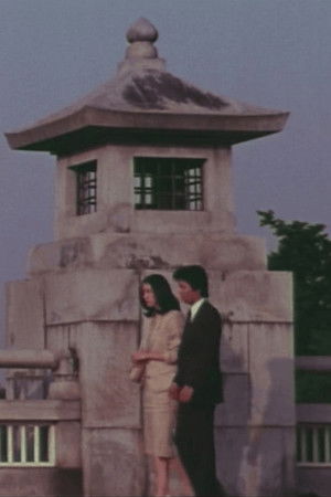 Female Doctor in the Surgical Ward Female Doctor in the Surgical Ward