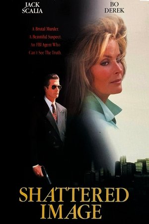 Shattered Image Shattered Image