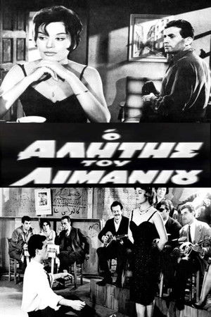 The Harbor Bum The Harbor Bum