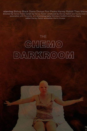 The Chemo Darkroom The Chemo Darkroom